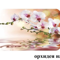 БОСТОН - 2 опоры Брифинг в Сургуте - surgut.mebel24.online | фото 4