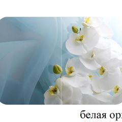БОСТОН опоры Триумф в Сургуте - surgut.mebel24.online | фото 13
