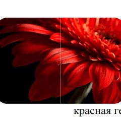 БОСТОН опоры Триумф в Сургуте - surgut.mebel24.online | фото 27