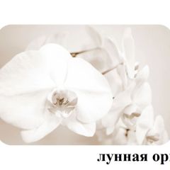 БОСТОН опоры Триумф в Сургуте - surgut.mebel24.online | фото 33