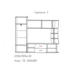 Гостиная ГАРМОНИЯ-3 (ЦРК.ГРМ.03) в Сургуте - surgut.mebel24.online | фото 2