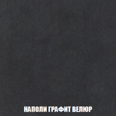 Кресло-кровать Виктория 4 (ткань до 300) в Сургуте - surgut.mebel24.online | фото 38