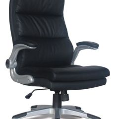 Кресло офисное BRABIX "Fregat EX-510" (рециклированная кожа, черное) 530863 в Сургуте - surgut.mebel24.online | фото