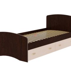 Кровать-6 одинарная с 2-мя ящиками (800*2000) в Сургуте - surgut.mebel24.online | фото 5