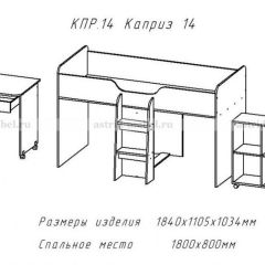 КАПРИЗ-14 Кровать 800 двухъярусная без рисунка в Сургуте - surgut.mebel24.online | фото 2