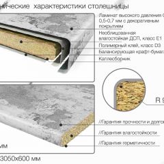 Кухонный фартук со столешницей (А-01) в едином стиле (3050 мм) в Сургуте - surgut.mebel24.online | фото 6