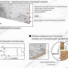 Кухонный фартук со столешницей (А-02) в едином стиле (3050 мм) в Сургуте - surgut.mebel24.online | фото 7