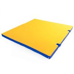 Мат гимнастический 1х1х0,05м с вырезом под стойки цв. синий-желтый в Сургуте - surgut.mebel24.online | фото