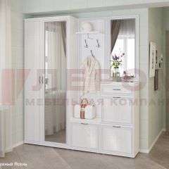 Прихожая Карина композиция 1 (Снежный ясень) в Сургуте - surgut.mebel24.online | фото