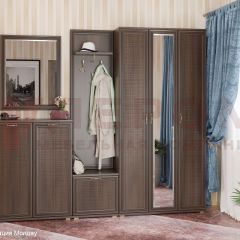 Прихожая Карина композиция 4 (Акация Молдау) в Сургуте - surgut.mebel24.online | фото