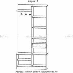 Прихожая София 1 в Сургуте - surgut.mebel24.online | фото 3