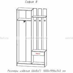 Прихожая София 8 в Сургуте - surgut.mebel24.online | фото 2