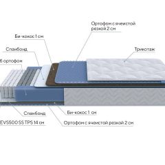 PROxSON Матрас Active Comfort M (Ткань Трикотаж Эко) 120x200 в Сургуте - surgut.mebel24.online | фото 7