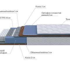 PROxSON Матрас Active Duo M/F (Ткань Трикотаж Эко) 120x195 в Сургуте - surgut.mebel24.online | фото 7