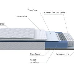 PROxSON Матрас Active Duo S/F (Ткань Трикотаж Эко) 120x190 в Сургуте - surgut.mebel24.online | фото 7