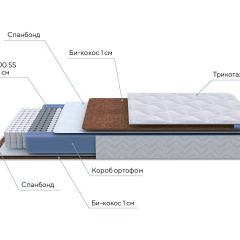 PROxSON Матрас Active F (Ткань Трикотаж Эко) 120x200 в Сургуте - surgut.mebel24.online | фото 7