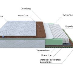 PROxSON Матрас Green Duo M/F (Tricotage Dream) 80x200 в Сургуте - surgut.mebel24.online | фото 1