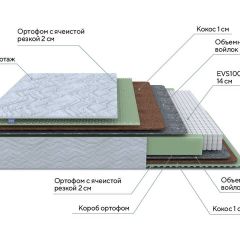 PROxSON Матрас Green M (Tricotage Dream) 120x190 в Сургуте - surgut.mebel24.online | фото 7