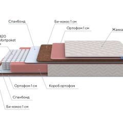 PROxSON Матрас Standart Plus M Roll (Ткань Жаккард) 120x200 в Сургуте - surgut.mebel24.online | фото 6