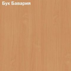 Шкаф для документов двери-ниша-двери Логика Л-9.2 в Сургуте - surgut.mebel24.online | фото 2