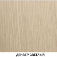 Шкаф для одежды №609 "Инна" Денвер светлый (*без полок) в Сургуте - surgut.mebel24.online | фото 2