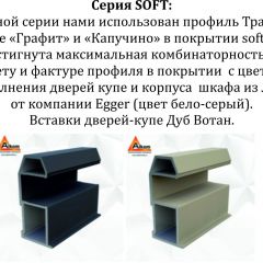 Шкаф-купе 1600 серии SOFT D6+D4+B2+PL2 (2 ящика+1штанга+1 полка) профиль «Капучино» в Сургуте - surgut.mebel24.online | фото 13