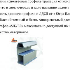 Шкаф-купе 1700 серии SILVER S1+S1+B2+PL2 (2 ящика+1 штанга+1 полка) профиль «Серебро» в Сургуте - surgut.mebel24.online | фото 4