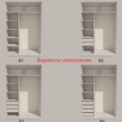 Шкаф-купе 1700 серии SILVER S1+S1+B2+PL2 (2 ящика+1 штанга+1 полка) профиль «Серебро» в Сургуте - surgut.mebel24.online | фото 5