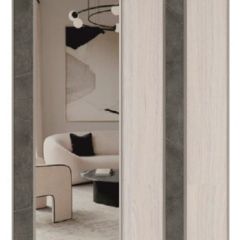 Шкаф-купе 1700 серии SILVER S1+S1+B2+PL2 (2 ящика+1 штанга+1 полка) профиль «Серебро» в Сургуте - surgut.mebel24.online | фото 8