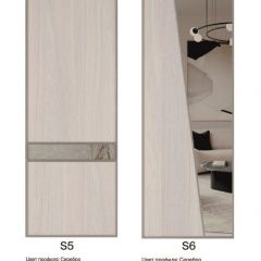 Шкаф-купе 1700 серии SILVER S1+S1+B2+PL2 (2 ящика+1 штанга+1 полка) профиль «Серебро» в Сургуте - surgut.mebel24.online | фото 11