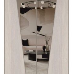 Шкаф-купе 1700 серии SILVER S1+S1+B2+PL2 (2 ящика+1 штанга+1 полка) профиль «Серебро» в Сургуте - surgut.mebel24.online | фото 12