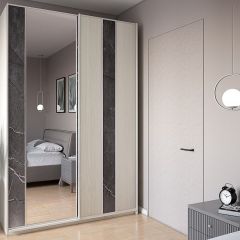 Шкаф-купе 1700 серии SILVER S3+S4+B2+PL4 (2 ящика+F обр.штанга) профиль «Серебро» в Сургуте - surgut.mebel24.online | фото