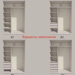 Шкаф-купе 1700 серии SILVER S3+S4+B2+PL4 (2 ящика+F обр.штанга) профиль «Серебро» в Сургуте - surgut.mebel24.online | фото 5