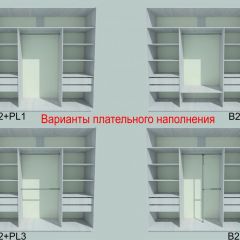 Шкаф-купе 1950 серии SILVER S3+S1+S3Z B22+PL2 (по 2 ящика лев/прав+1штанга+1 полка) профиль «Серебро» в Сургуте - surgut.mebel24.online | фото 6