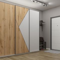 Шкаф-купе 2100 серии SOFT D2+D7+D3+B22+PL2 (по 2 ящика лев/прав+1штанга+1полка) профиль «Графит» в Сургуте - surgut.mebel24.online | фото