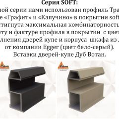 Шкаф-купе 2400 серии SOFT D4+D4+D4+B22+PL1 (по 2 ящика лев/прав+1штанга) профиль «Графит» в Сургуте - surgut.mebel24.online | фото 12
