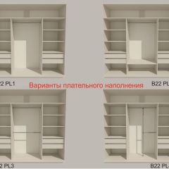 Шкаф-купе 2400 серии SOFT D5+D5+D5+B22+PL4 (по 2 ящика лев/прав+2штанги) профиль «Графит» в Сургуте - surgut.mebel24.online | фото 4