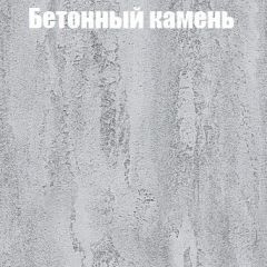 Шкаф-купе Бассо 1.0 (Дуб Крафт серый/Бетонный камень) 2 двери ЛДСП в Сургуте - surgut.mebel24.online | фото 3