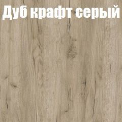 Шкаф-купе Бассо 1.0 (Дуб Крафт серый/Бетонный камень) 2 двери ЛДСП 1 зеркальная вставка в Сургуте - surgut.mebel24.online | фото 4