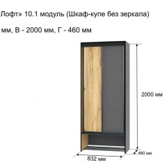 ОЛЬГА-ЛОФТ 10.1 Шкаф-купе без зеркала в Сургуте - surgut.mebel24.online | фото 3