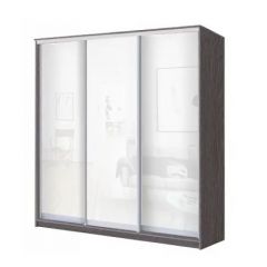 Шкаф-купе ХИТ 23-18-888 (620) в Сургуте - surgut.mebel24.online | фото