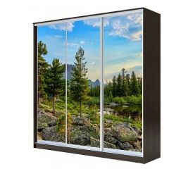 Шкаф-купе ХИТ 23-4-18-777 (420) в Сургуте - surgut.mebel24.online | фото 1