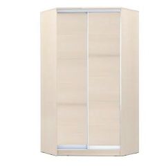 Шкаф-купе ХИТ-У-24-4-11 в Сургуте - surgut.mebel24.online | фото 7