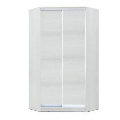 Шкаф-купе ХИТ-У-L-24-64-11 в Сургуте - surgut.mebel24.online | фото