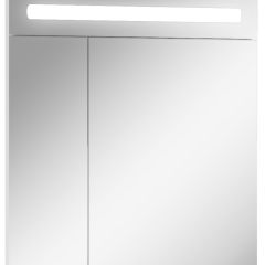 Шкаф-зеркало Аврора 65 с подсветкой LED Домино (DV8006HZ) в Сургуте - surgut.mebel24.online | фото 1