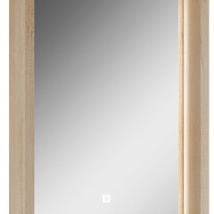 Шкаф-зеркало Nice 45 с подсветкой Домино (DN4704HZ) в Сургуте - surgut.mebel24.online | фото 1