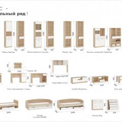 Система Стелс Шкаф-Пенал 1в1д1ящ Дуб сонома/Белый в Сургуте - surgut.mebel24.online | фото 3