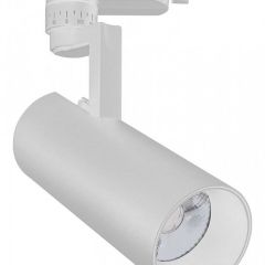 Светильник на штанге Escada 20029 20029TRA/01LED SWH в Сургуте - surgut.mebel24.online | фото