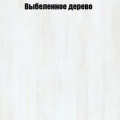 Вешалка V3 в Сургуте - surgut.mebel24.online | фото 4