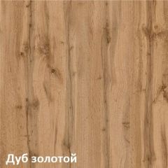 Вуди Шкаф для одежды 13.138 в Сургуте - surgut.mebel24.online | фото 4